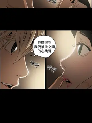 ACE：禁斷的詐欺之夜 1+2季[完結]_1006007