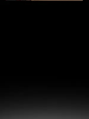 ACE：禁斷的詐欺之夜 1+2季[完結]_2007006