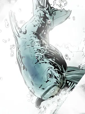 ACE：禁斷的詐欺之夜 1+2季[完結]_1006014