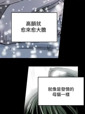 ACE：禁斷的詐欺之夜 1+2季[完結]_1020007