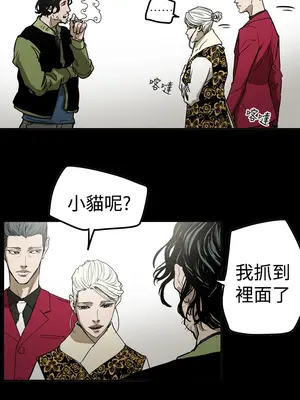 ACE：禁斷的詐欺之夜 1+2季[完結]_2027002