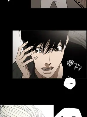 ACE：禁斷的詐欺之夜 1+2季[完結]_2030004