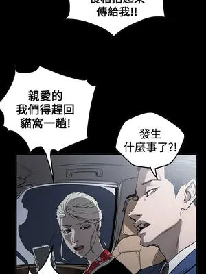 ACE：禁斷的詐欺之夜 1+2季[完結]_2033000