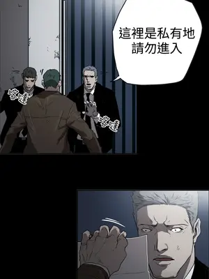 ACE：禁斷的詐欺之夜 1+2季[完結]_2034008