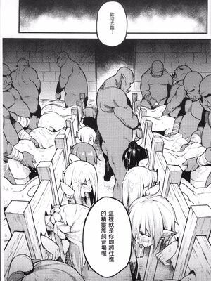 [TRY方言]エルフの使い道|精靈族的用法 (別冊コミックアンリアル 人間牧場編 Vol.7)[中国翻訳][疏碼][DL版]_011