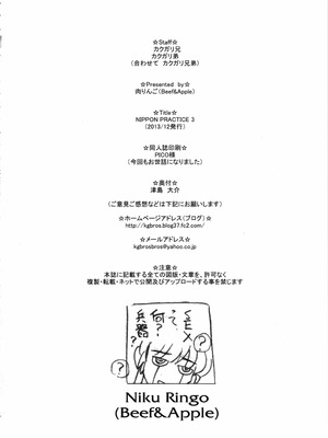 (C85) [肉りんご (カクガリ兄弟)] NIPPON PRACTICE 3 (キング・オブ・ファイターズ) [中国翻訳]_24_aauw