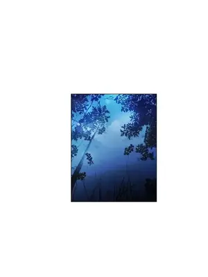 無名島 1-43話[完結]_023019