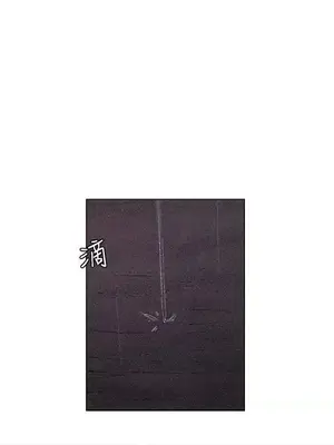 無名島 1-43話[完結]_025014