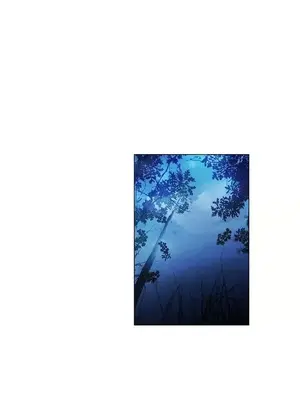 無名島 1-43話[完結]_026015