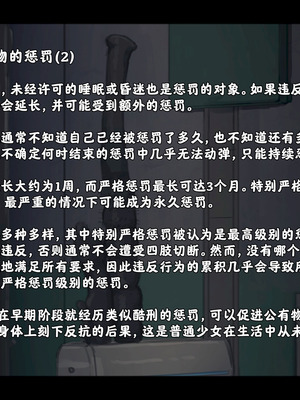 [ゆきまる屋 (ゆきむら丸)] 公有物少女3.5～国から人権を剥奪され物として扱われる女の子の話〜特別厳重懲罰番外編 [中国翻訳]_046_ddna