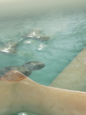 無防備な義理の妹_606_6_107