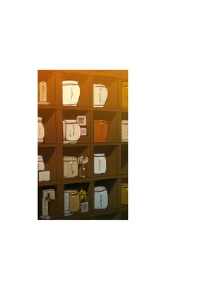 Scandal of the Witch 妖女之禍 1-42話[完結]_040001