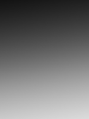 [ほるもんカレー (鳶村)] 私たちの生徒会長がスケベなはずありません!! (ブルーアーカイブ)｜我們的學生會長才不是色鬼！！ [中国翻訳] [無修正] [DL版]_29_rmtu