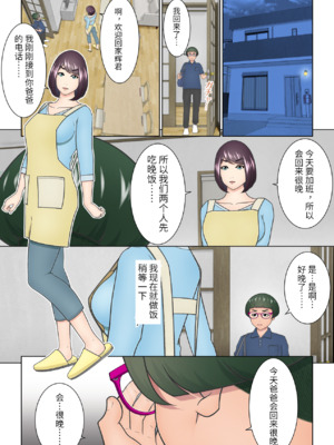 [チャーハンチャーハン]どうしようもない下着好きの息子への対応を完全に間違えてしまった継母（胖子机翻）_12