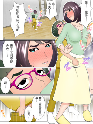 [チャーハンチャーハン]どうしようもない下着好きの息子への対応を完全に間違えてしまった継母（胖子机翻）_37