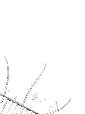 [Ryona's Station (YOSHITORA)] BRAIN EATER STAGE1 [中国翻訳]_073