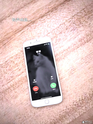 [zerone] 兄弟竟然拜托我照顾他的妻女 第六章_072