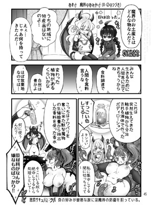 [沙 (Sachie)] 召喚魔はふたなりサキュバスでした。II [DL版]_45_erfe