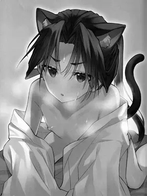 (C105) [ロックソルト (岩塩)] 猫の秘めごと (逃げ上手の若君) [中国翻訳]_03