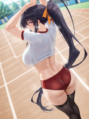 [miyabi] Akeno Himejima／姫島朱乃(High School DxD)(179p)_00003