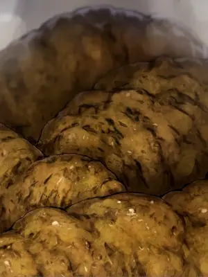 [ルシウム23日] ギャルトイレうんうん [臭鼬娘漢化組]_051