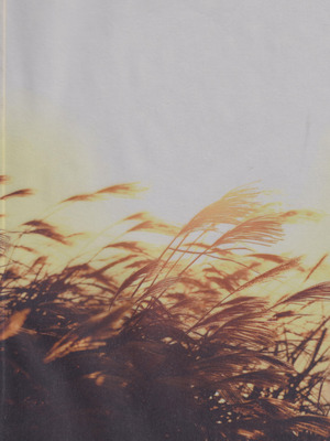 (SPARK19) [bowwowo (もとび)] 神無月の暮に (犬夜叉) [不咕鸟汉化组]_02_laab