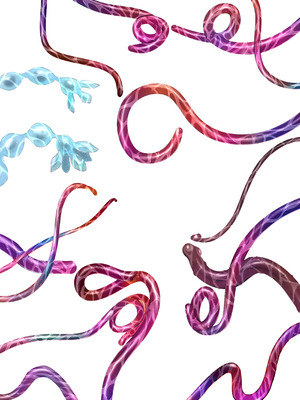 [奈波屋 (ななまる)] ふたなり触手お嬢様_48