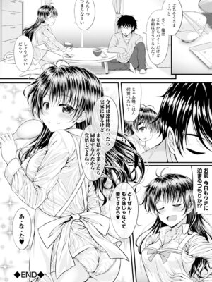 コミックエウロパ Vol.6_032_pulp