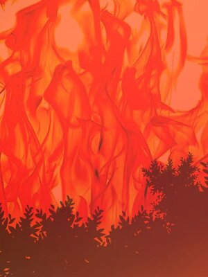 野百合與紫羅蘭 1-29話[完結]_009078