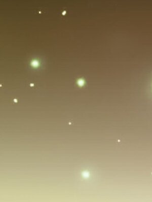 野百合與紫羅蘭 1-29話[完結]_027082