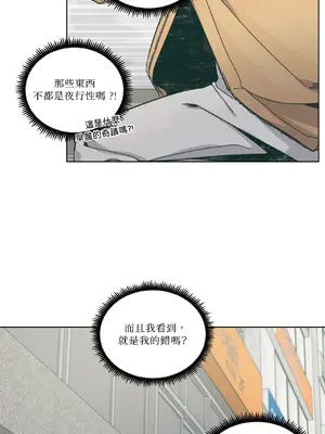 幸福乘著掃帚而來 1-30話 第一季完_002023