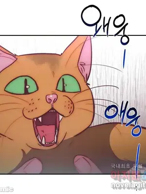 討厭的女人 No Love Lost Lady 1-34話 第一季完_032011