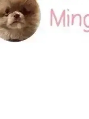 What's going on？／這是怎麼回事？ 1-151話[完結]_3105046