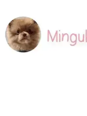 What's going on？／這是怎麼回事？ 1-151話[完結]_3108040