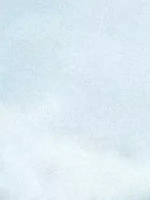 What's going on？／這是怎麼回事？ 1-151話[完結]_3115017