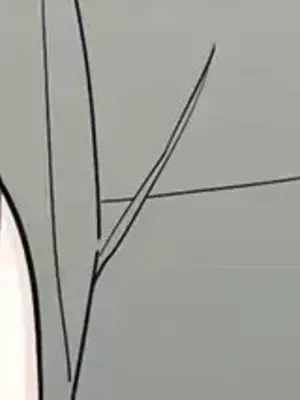 What's going on？／這是怎麼回事？ 1-151話[完結]_3119012