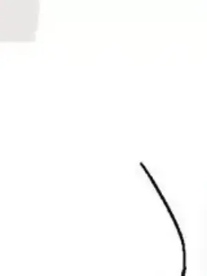 What's going on？／這是怎麼回事？ 1-151話[完結]_3123020