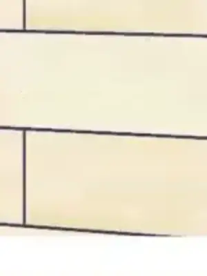 What's going on？／這是怎麼回事？ 1-151話[完結]_3124002