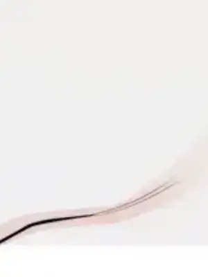 What's going on？／這是怎麼回事？ 1-151話[完結]_3128008