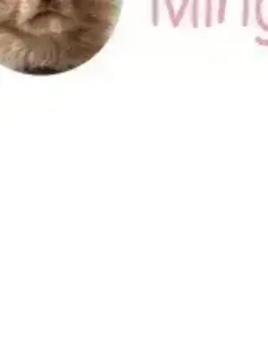 What's going on？／這是怎麼回事？ 1-151話[完結]_3131069