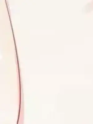 What's going on？／這是怎麼回事？ 1-151話[完結]_3134063