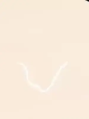 What's going on？／這是怎麼回事？ 1-151話[完結]_4143055