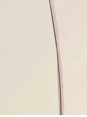 What's going on？／這是怎麼回事？ 1-151話[完結]_4145028