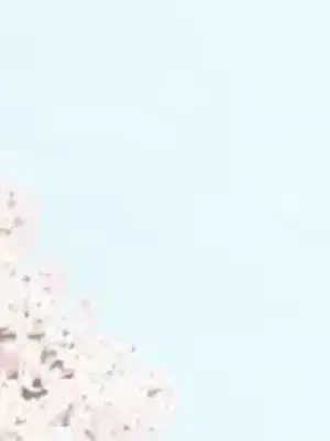 What's going on？／這是怎麼回事？ 1-151話[完結]_4146002