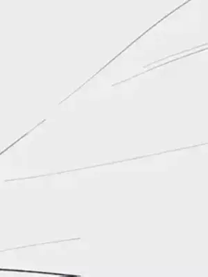 What's going on？／這是怎麼回事？ 1-151話[完結]_4151017