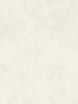 站著的女人 1-66話[完結]_1020001