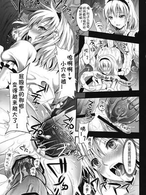 [ユリルラリカ (小島紗、Lazu)]Ｒ触2A、Ｂ、C ~捕らわれアリス 糞肉便器 -前中後編-~(東方プロジェクト)[中国翻訳][疏碼][上校个人汉化]_024