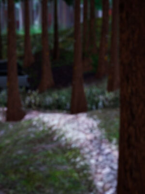 [瓍瑭] 蜜母16_346