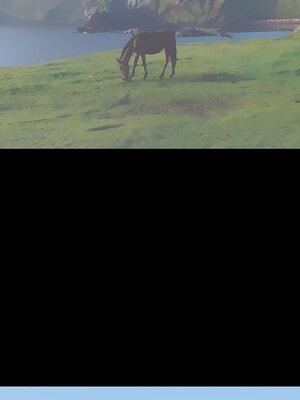 上流社會的女人／豪門千金的男人 1-24話[完結]_024097