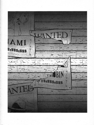 (C77) [サトサミット (里見サト)] Pleasure (ワンピース) [考古學家漢化]_03_Pleasure_03